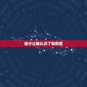 缘分让我认识了你的歌，缘分让我认识了你是什么歌