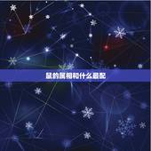 鼠的属相和什么最配，男属虎和属鼠女相配吗