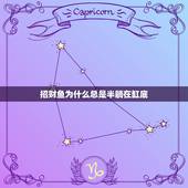 招财鱼为什么总是半躺在缸底，招财鱼偏躺在水底不动喂食还吃怎么回事