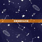 壬寅年旺什么行业，365行业都什么行业