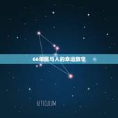 66年属马人的幸运数字，1966年属马的农历8月28出生幸运数字是