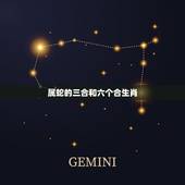 属蛇的三合和六个合生肖，蛇的三合是什么