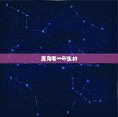 属兔哪一年生的，1963年属兔的是什么命