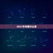 2021牛年属什么命，2021年牛年是什么命