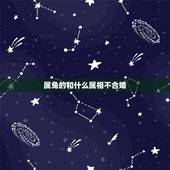 属兔的和什么属相不合婚，属兔子的和属什么的不合婚