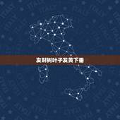 发财树叶子发黄下垂，发财树叶子下垂是怎么回事