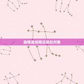 动婚是结婚还是处对象，动婚是指结婚吗
