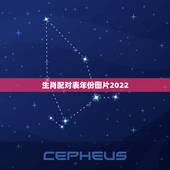 生肖配对表年份图片2022，十二生肖婚姻配对大全