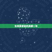 生肖属老鼠的是哪一年，生肖羊是哪一年