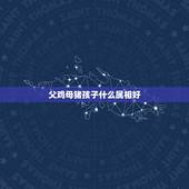 父鸡母猪孩子什么属相好，生肖属鼠的和什么样的属相的孩子最好