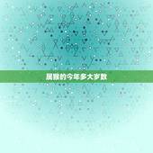属猴的今年多大岁数，1980年到2022 年是多大了