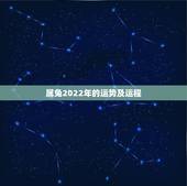 属兔2022年的运势及运程，属兔的2022 年运势如何