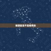 猪跟鼠是不是相克的，95年猪适合哪年生孩子