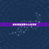 虎年男宝宝取什么名字好，虎年男宝宝取名大全2022 款