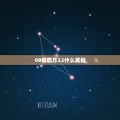 00后腊月22什么属相，阴历腊月二十二，阳历一月三十一，按什么属相算啊