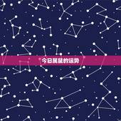今日属鼠的运势，属鼠的今年财运
