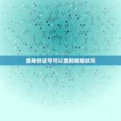 查身份证号可以查到婚姻状况，通过身份证号可以查婚姻状况吗