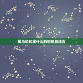 属马的和属什么的相配最适合 属马的婚配宜忌表