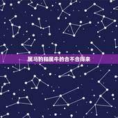 属马的和属牛的合不合得来，属鸡和属牛的合不合