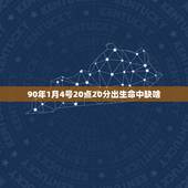 90年1月4号20点20分出生命中缺啥，马年阴历1月11日，11点20