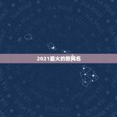 2021最火的新网名，2021最火二字网名