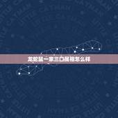 龙蛇鼠一家三口属相怎么样，龙蛇鸡鼠一家人好不好？