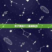 双子男和十二星座配对，双子座男生和什么星座最相配