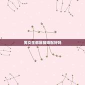 男女生都属猪婚配好吗，属相婚配：男属猪和女属猪相配吗？