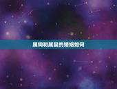属狗和属鼠的婚姻如何，1994年几月狗命苦