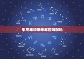 甲戌年和辛未年能婚配吗，1994年和1991年相配吗