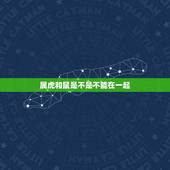 属虎和鼠是不是不能在一起，属虎和属鸡的一起工作