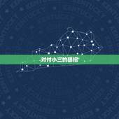 对付小三的狠招，对付小三的狠招&amp;#8217;骂小三的经典语句