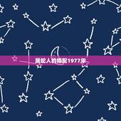 属蛇人的婚配1977年，1977年属蛇的和1977年属蛇的结婚好吗？