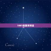 1991年属羊财运，91年属羊终身运势