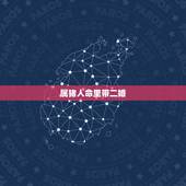 属猪人命里带二婚，1983年属猪的人会二婚吗