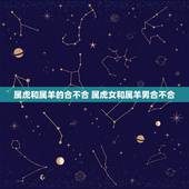 属虎和属羊的合不合 属虎女和属羊男合不合