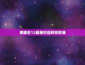 黑曜石12属相对应阿弥陀佛，十二生肖对应的守护佛