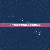 十二属相婚配表龙与猪能婚配吗，猪和龙生肖相配吗