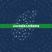 2000年属龙九月男孩命运，2000年属龙男一生命运