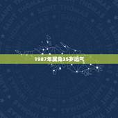 1987年属兔35岁运气，1987年属兔的人2021年运势怎样？男性女