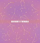 属虎和那几个属相最合，属虎和什么属相最配