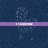 十二生肖配对姻缘 最恩爱的生肖配对