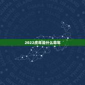 2022虎年是什么命年，2022年是什么命