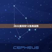 2022麦玲玲12生肖运势 2022年走大运的生肖