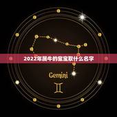 2022年属牛的宝宝取什么名字，牛宝宝男孩名字大全