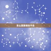 怎么算属相合不合，请大师帮我算下和这个人的生辰八字 生肖属相合不合。