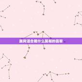 属狗适合戴什么属相的翡翠，翡翠生肖狗适合什么人佩戴