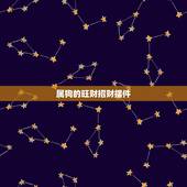 属狗的旺财招财摆件，属蛇旺财更好的摆件