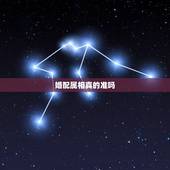婚配属相真的准吗，属相婚配和五行婚配那个更准一点？请懂行的朋友赐教。