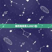 猪的真命贵人2021年，2021属猪人全年运势